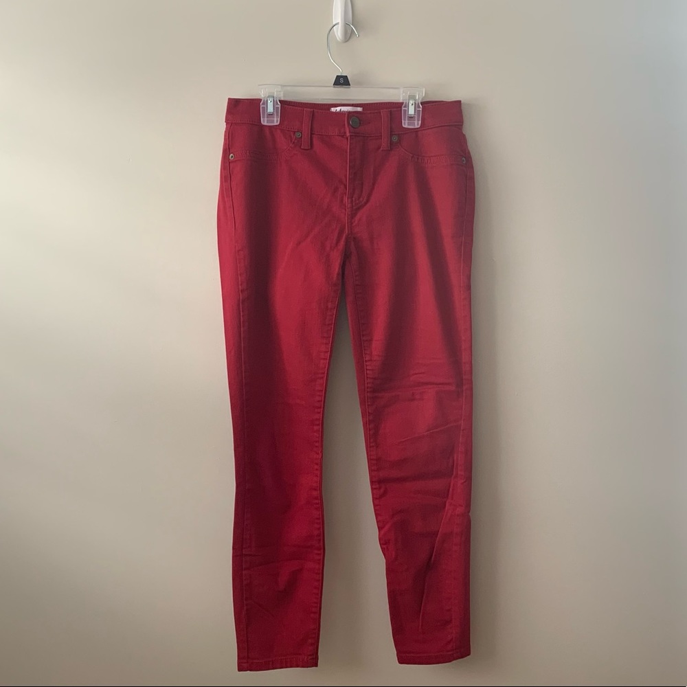 Lakeview Denim Skinny Jeans